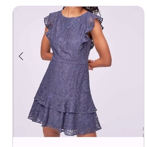LOFT Dresses & Skirts - New LOFT Lace Flutter Dress Blue-Grey Size 18